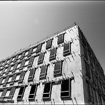 herisson Le hérisson