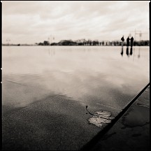 lafeuille La feuille et les photographes