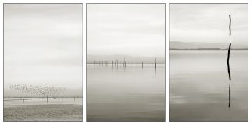 Voir la galerie de mes photos pour l&lsquo;exposition