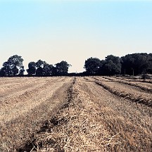 breizh02 Breizh (2/3)