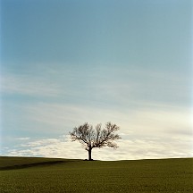 ce_monde Ce monde peut réellement être un paradis...