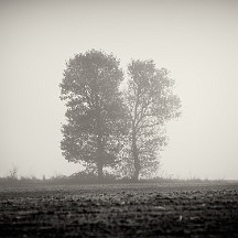 leave_ground Leave ground and find the light