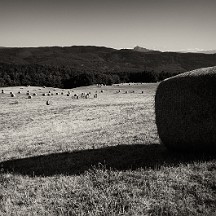 travux_des_champs Travaux des champs