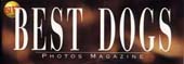 Logo BestDogs
