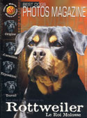 logo Best Dogs
