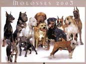 Calendrier Molosses 2003