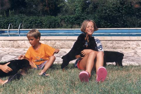 Chiots &agrave; la piscine