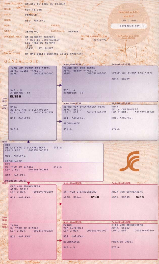 P&eacute;digr&eacute;e