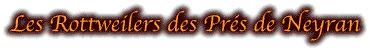 Logo Neyran