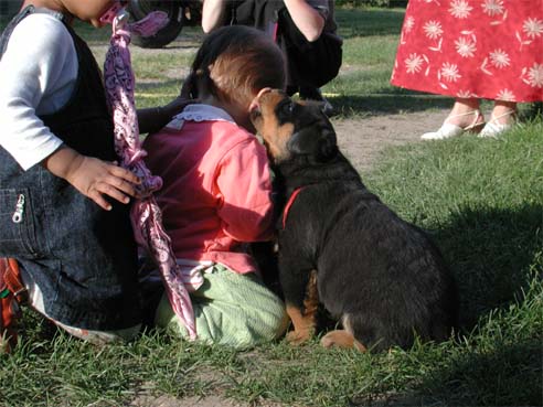 Aliz&eacute;e et la rouge