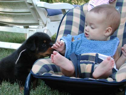 chiot & Aliz&eacute;e