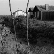 artlimited_img514754 Zone Étrange (#3)