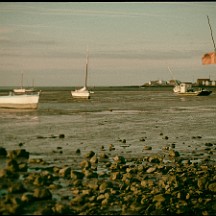 artlimited_img556137 Automnale