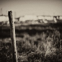 ballotte_vent Ballotté par le Vent