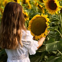 _NIK3393_m Miroir, Ô mon beau miroir...
