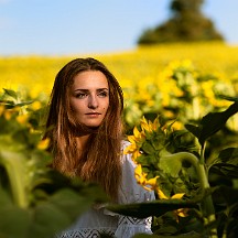 _NIK3452_m Une lumineuse fleur d'été